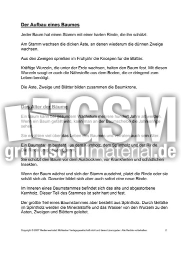 Bäume-Text-zur-Präsentation-2.pdf